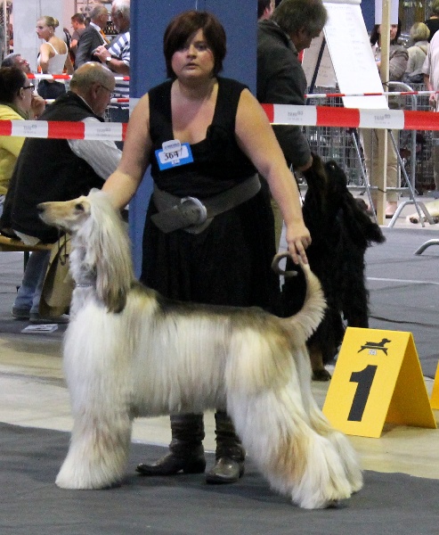 CH. Flower of dream dunic Du chemin des dames imperiales