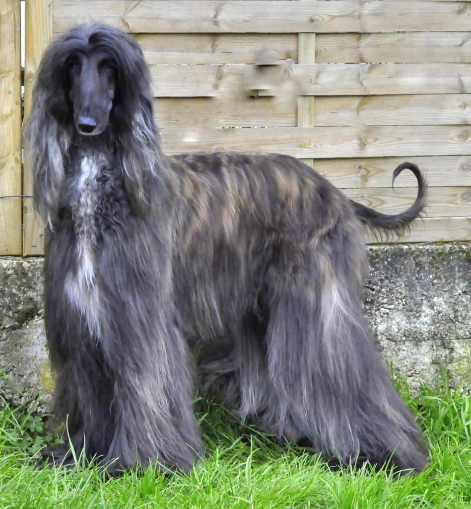 Ch.just a time for dream Du chemin des dames imperiales